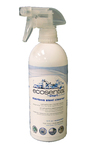 Ecosential Stainless Steel Cleaner